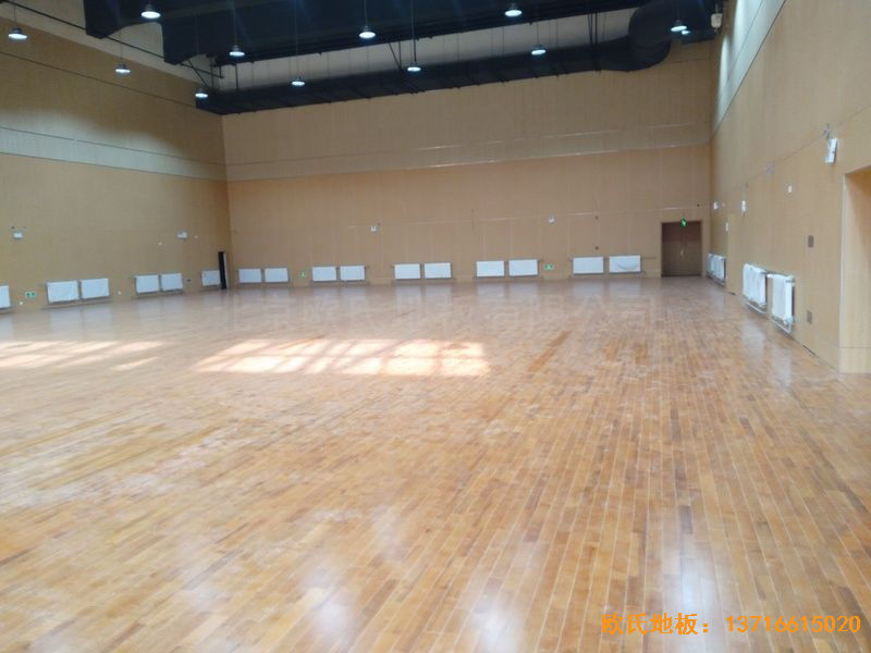 ɽ�|���u�����^�����С�W�w���ذ尲�b����