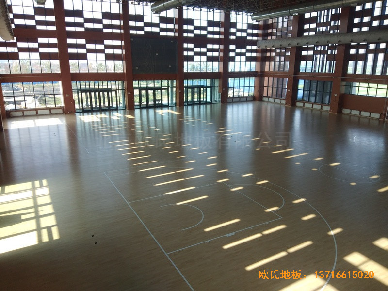 �ӱ����̴�W��У�^�@���^�w��ľ�ذ���O����5