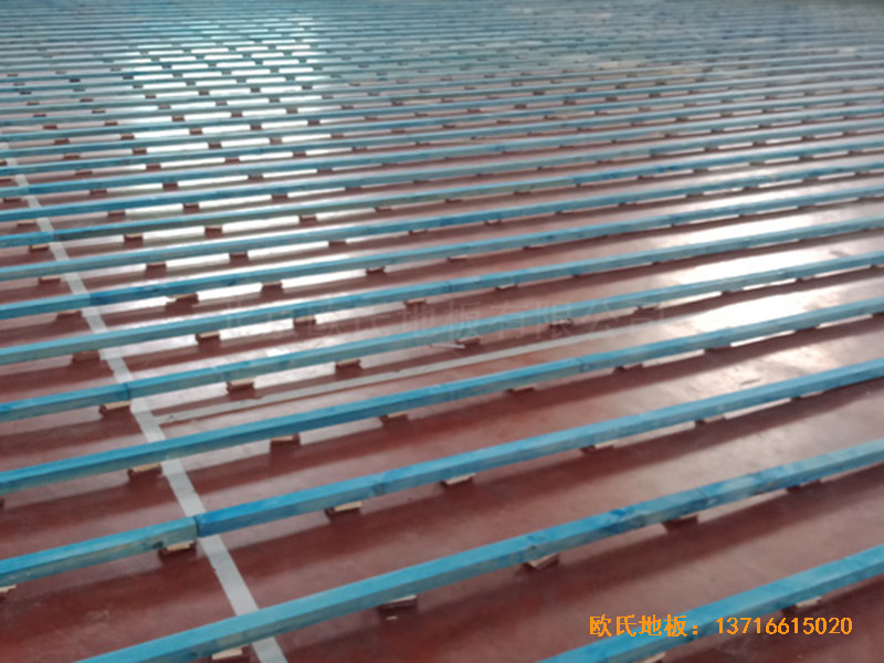 �ӱ������w���WУ�@���^�\��ľ�ذ尲�b����1