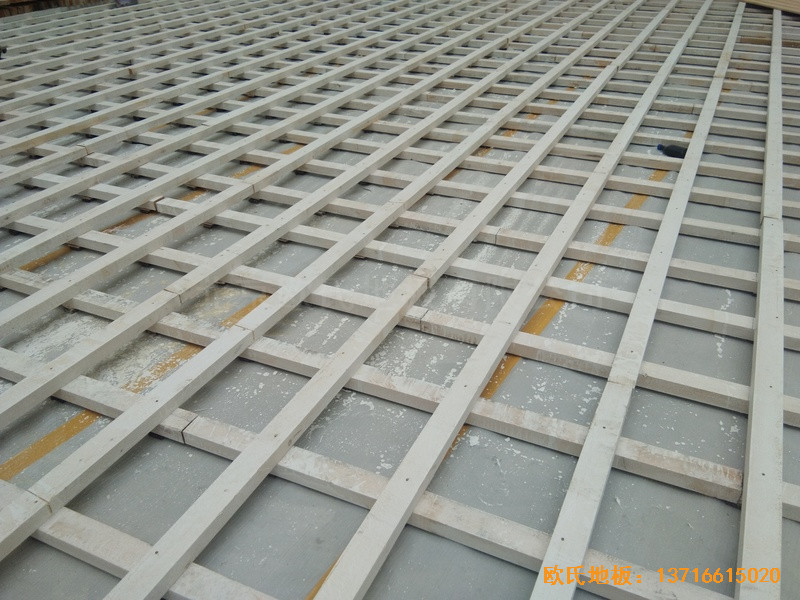 �㽭�����Z���h��W(xu��)�w���^�\��ľ�ذ���b����1