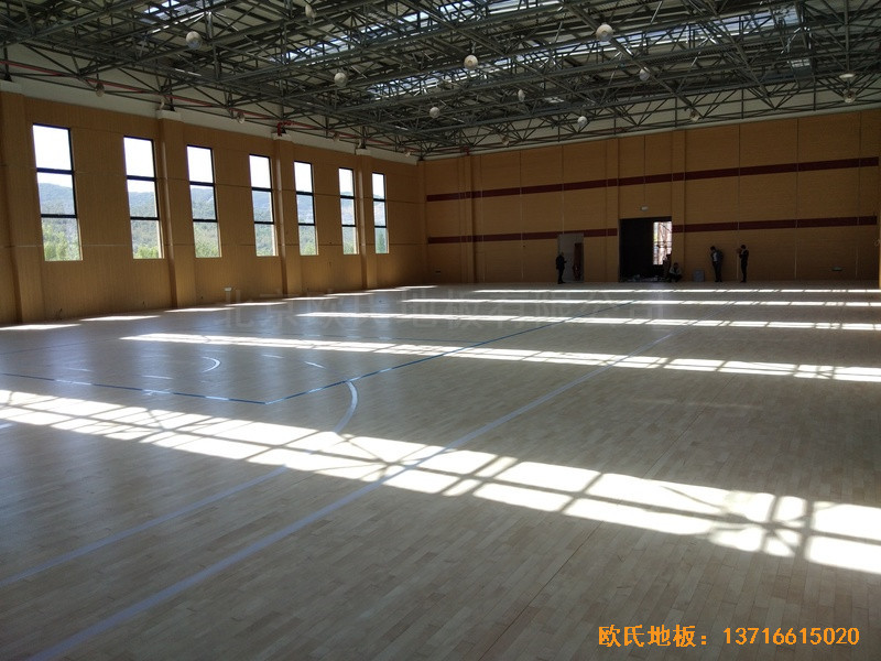 �㽭����h�����wˇ�^�\��ľ�ذ���O����4