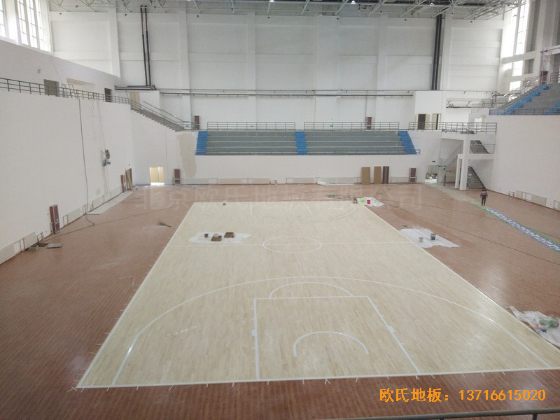 �}���w���^�\�ӵذ���O����5