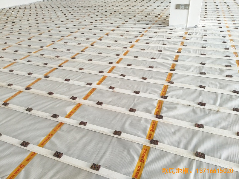 �Ĵ����e���R�ی��WУ�w���^�\��ľ�ذ尲�b����1