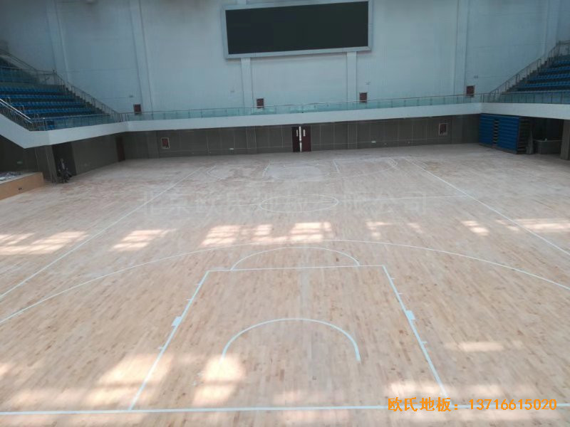 ɽ�|�����L��ɽ�|����WԺ�@���^�\��ľ�ذ���O����2