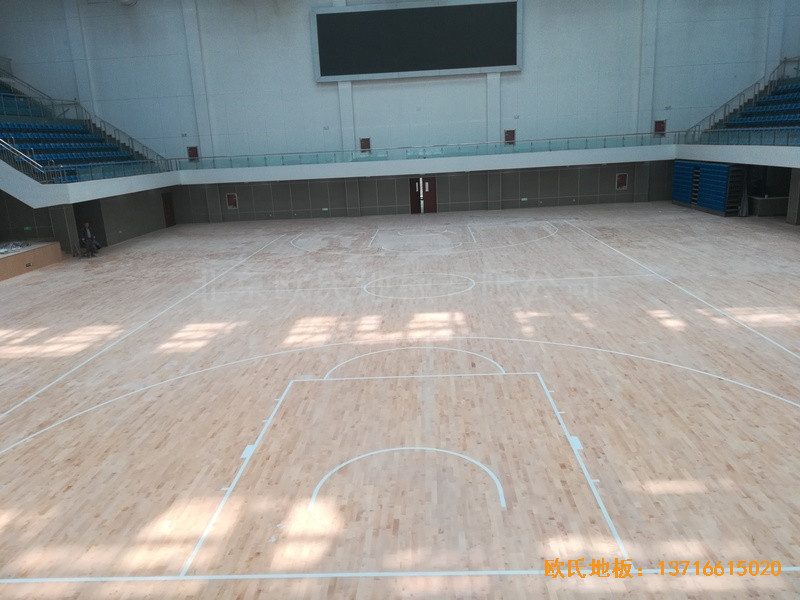 ɽ�|�����L��ɽ�|����WԺ�@���^�\��ľ�ذ���O����5