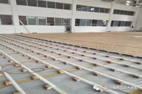 �V�|YBDL���T HOOP PARK�@�򹫈@�ɹ�����