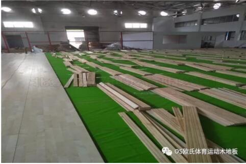 �V�|YBDL���T HOOP PARK�@�򹫈@�ɹ�����