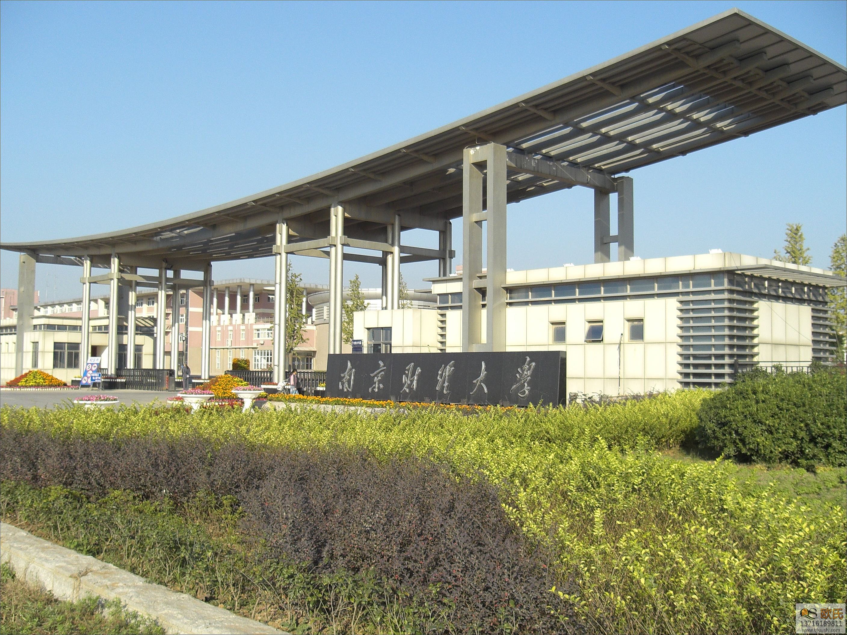 乒乓球地板 乒乓球地板