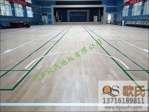 ɽ���x�Ї������w���^�\��ľ�ذ尸��