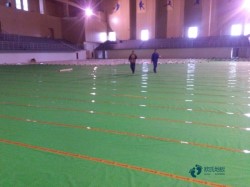 楓木運動實木地板