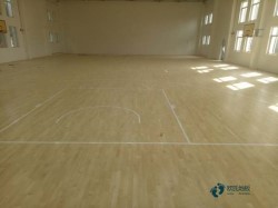 籃球場地木地板品牌有哪些