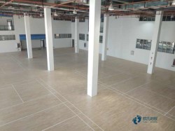 25厚體育地板價格是多少