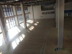 體育場館專用木地板標準