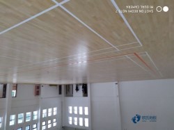 運(yùn)動(dòng)實(shí)木地板廠家