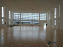 籃球?qū)S媚镜匕宸旨?jí)