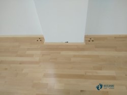 ���û@���w���ذ�����X����