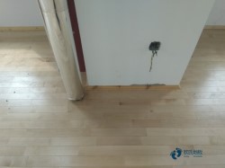 籃球場體育木地板施工