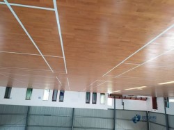 20��@���\(y��n)�ӵذ�Ʒ���Ă���