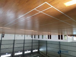 �\(y��n)�ӻ@��ľ�ذ���Щ���Ӻ�