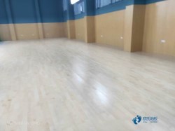 雙龍骨籃球場館木地板環保嗎
