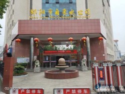 單層龍骨運動體育地板費用