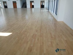 �҃�(n��i)�@����\(y��n)��(d��ng)ľ�ذ�ʩ������