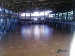 大學運動體育地板大約多少錢